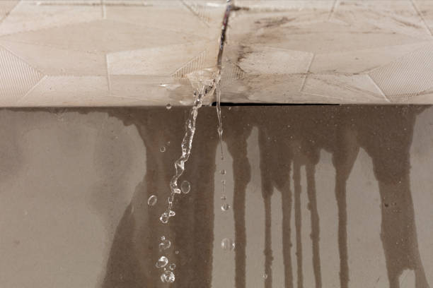 Professional Water Damage Repair technician working in Orange, OH